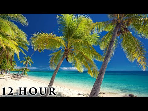 "Hidden Tropical Paradise" 12 HOUR Ambient Nature Film (No Loops) Outer Fiji Islands Pure Relaxation