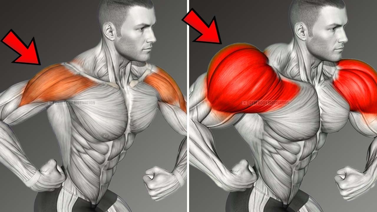 5 Shoulder Exercises for Massive Growth FAST