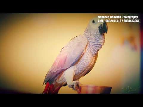 Wedding Photographer portfolio by Ekveera Modelling Photo Studio in Mumbai - Photo 3