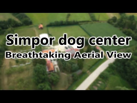 Obedience Training Video 1