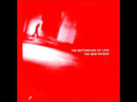 Wintertime Queen - Butterflies of Love