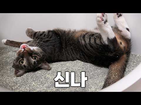 아 맞다 너 사막동물이었지...
