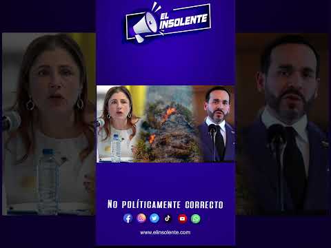 Las tendencias del 24/08/2026