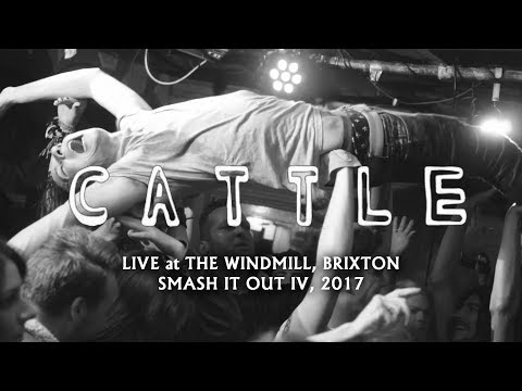 Cattle - Live at The Windmill 2017 - for Cosmic Carnage & Sonic Grave