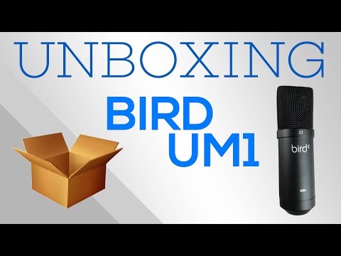 [Unboxing] Bird UM1