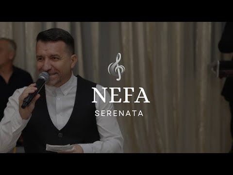 Nefail Ibrahimi NEFA  - Serenata Live 2024