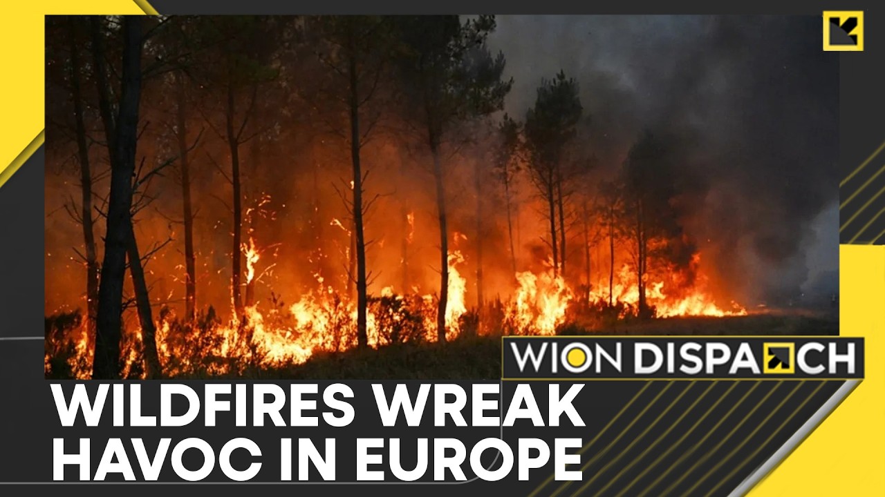 Europe Wildfires: Emmanuel Macron Chairs Emergency Cabinet Meet on Wildfires | WION Dispatch