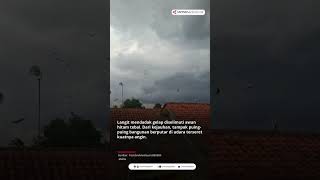 Download lagu Tornado Hits Bojonggede, Bogor! mp3 Download lagu Tornado Hits Bojonggede, Bogor! mp3
