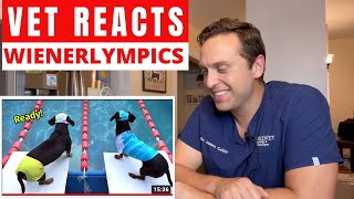 VET NEUROLOGIST REACTS TO WIENERLYMPICS