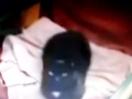 Guy Yells At His Cats
