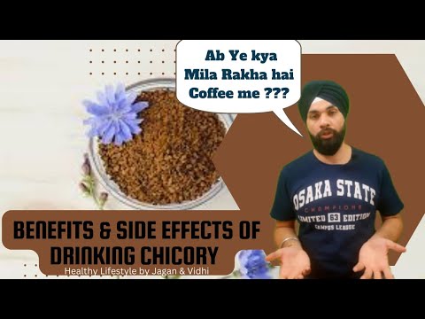 Power of Ingredients | Benefits and Side effects Of Chicory Coffee | Chicory Roots Coffee