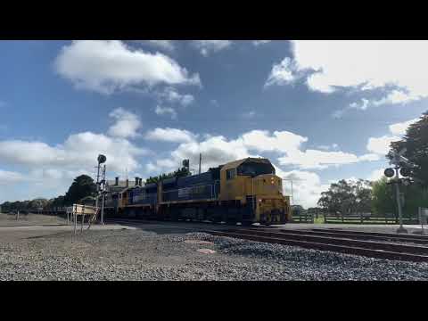 9154 Pacific national grain train at Meredith (6/9/2021)