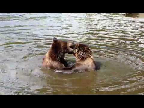 Zoo Hoyerswerda,die Bärenanlage 1975 und 2014 im Vergleich