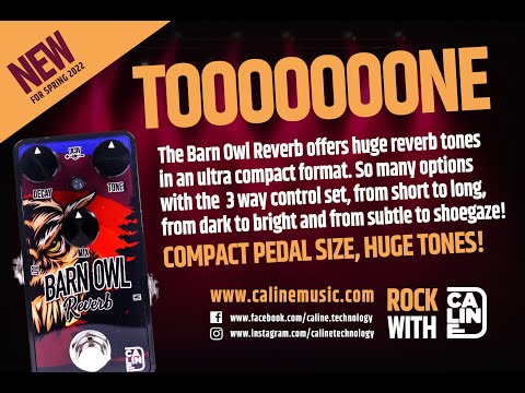 Quick Shipping! Caline G008 Barn Owl Reverb image 3