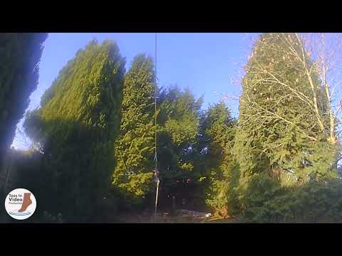 Hedge and tree care services video.