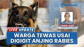Digigit Anjing Rabies Peliharaannya, Warga Manggarai Timur NTT Meninggal Dunia Tak Mau Vaksin