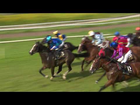 The Macallan Derby 2019