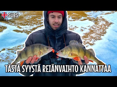 ISOA AHVENTA TODELLA MATALASTA + YLLÄTYSSAALIS