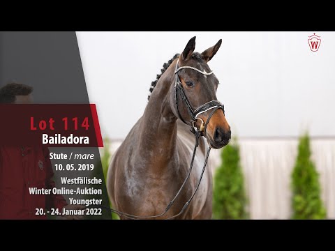 Online Winter-Auktion Lot 114 Bailadora Stute v. Benicio - Starnberg
