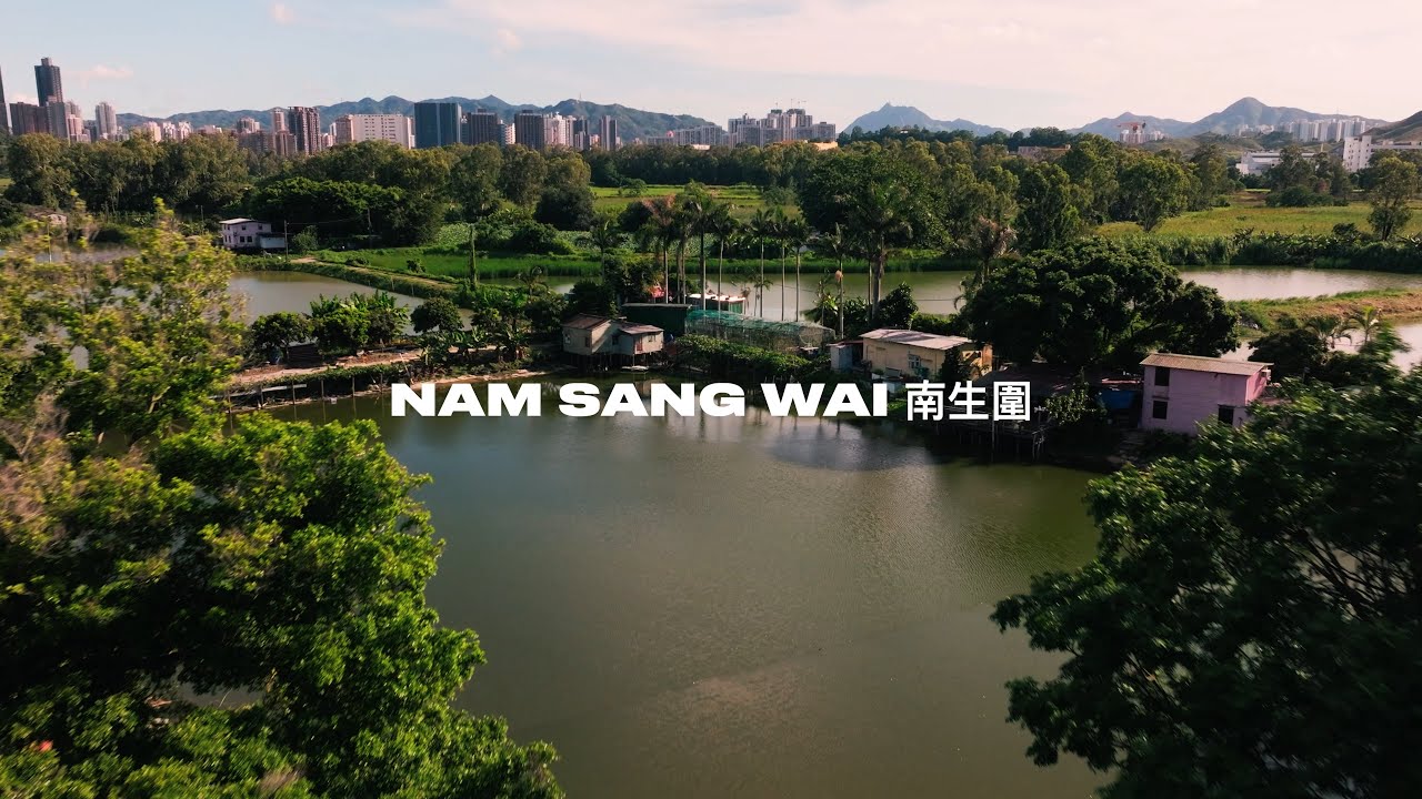 Birdwatching day at Nam Sang Wai Wetlands – spot rare migratory species