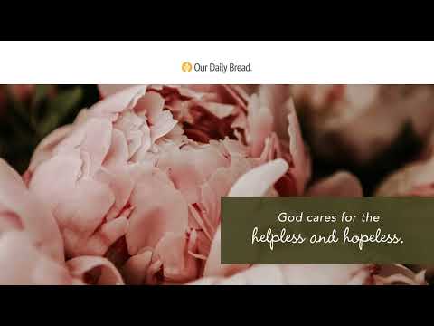 Divine Tenderness | Audio Reading | Our Daily Bread Devotional | June 13, 2022