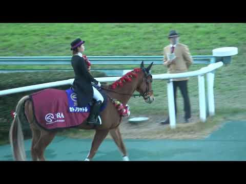 【阪神JF2022】本馬場入場 現地映像 リバティアイランド