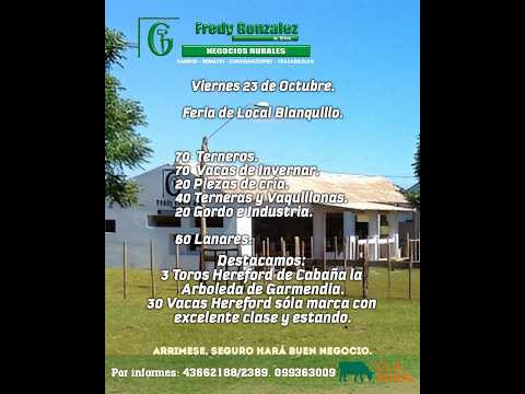 23/10/2026 Blanquillo - Durazno - Feria Mensual - Fredy González y Cía Ltda - Diego Prego