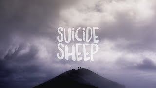 Julien Marchal - Insight XXX