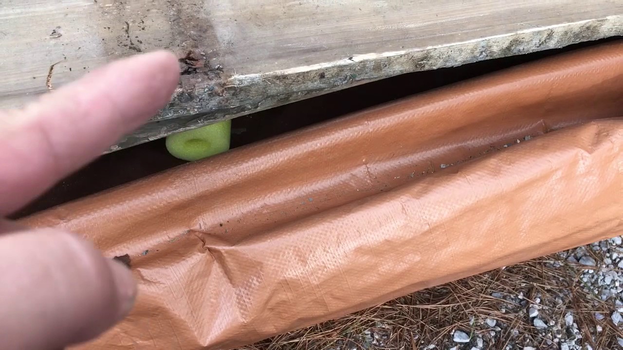 Barbashela Floorboard Removal