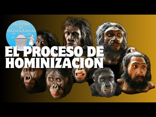 Vídeo relacionado con Tnfeeon Estatuas de Evolución de Figuras Humanas, Modelos Detallados de Ascendencia Humana en Miniatura para Educación y Exhibición en el Hogar, Explora el Viaje del Homo Erectus Al Late Sapiens,