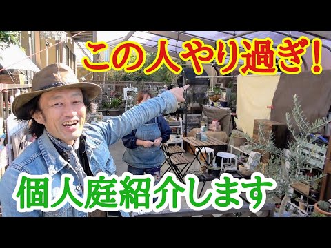 屋外の多肉植物 美しい多肉植物のロックガーデンを持つためのヒント