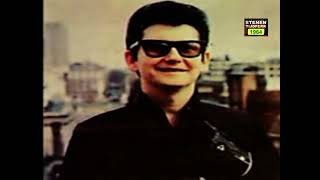 1964  Roy Orbison  - Yo Te Amo Maria