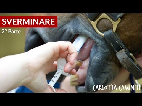Parassiti in lingua dei pesci Parassita nel tedesco