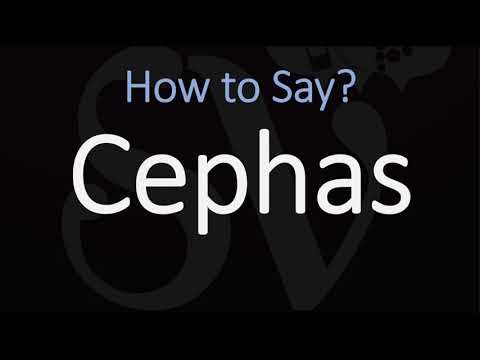 How to Pronounce Cephas? (CORRECTLY) Saint Peter the Apostle