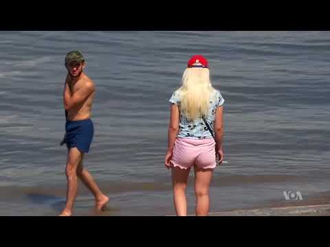 Swat Team Needed in Volgograd Where Insects Bug Fans & Players