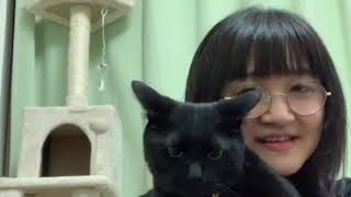 清水愛　自宅から放送