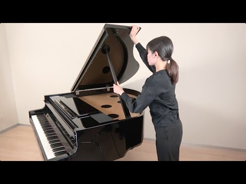 Zuhal Youtube Videos