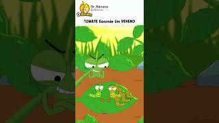 O Tomate Tem Uma Parte VENENOSA
