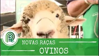 Miniatura do vídeo