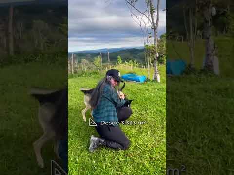 Lotes En Venta, San Roque Antioquia