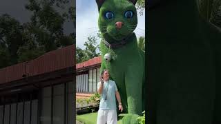 Download lagu This cat is really alive!🥰 #funny #cats #catvideos #tiktok #social #usafunny #catlovers #funpage mp3 Download lagu This cat is really alive!🥰 #funny #cats #catvideos #tiktok #social #usafunny #catlovers #funpage mp3