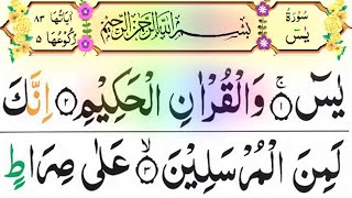 Download lagu 036 Surah Yaseen Full [Surah Yasin Recitation with HD Arabic Text] Surah Yaseen Pani Patti Voice🙏📿 mp3