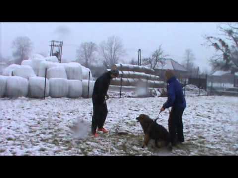 Isabella z Jukasu - training protection - 1 year