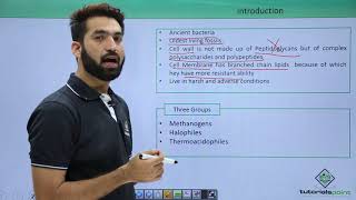 Class 11th – Archaebacteria – Introduction | Biological Classification | Tutorials Point