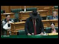 Ties in Parliament - How it's going