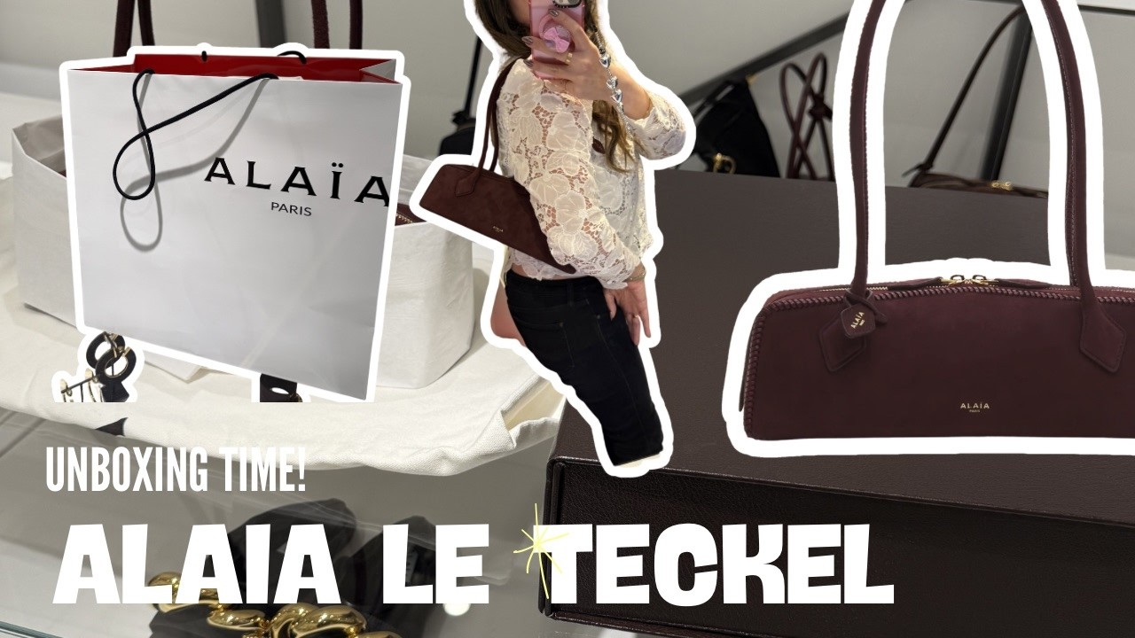 Alaia Unboxing! Lets Talk about the Alaia Le Teckel