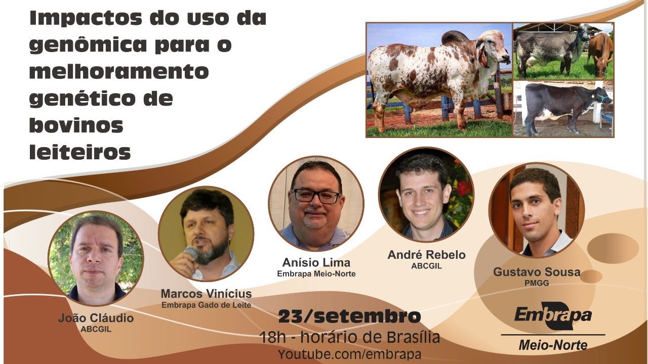 Live: Impactos do uso da genômica para o melhoramento genético de bovinos leiteiros