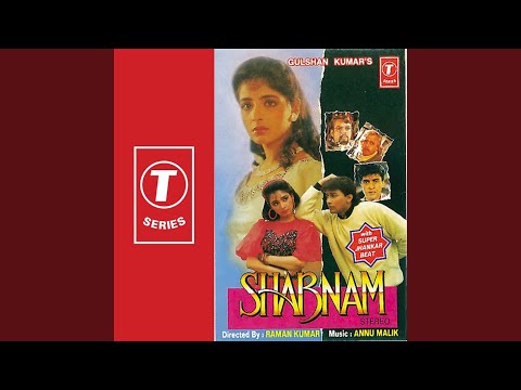 Tera Naam Likhkar Haathon Pe Hum Chooma Karte Hain (Full Audio) — watch video