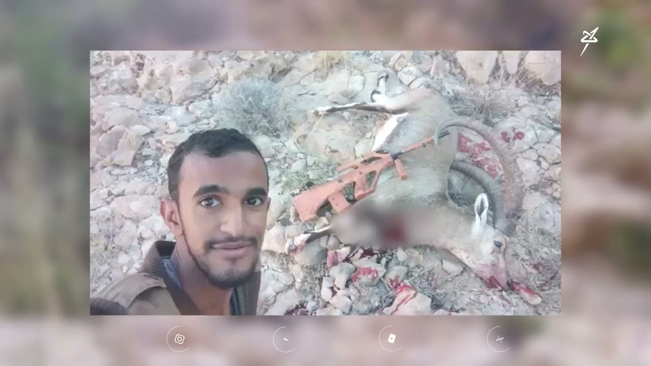 الصيد الجائر في محافظة شبوة يفتك بالحياة البرية