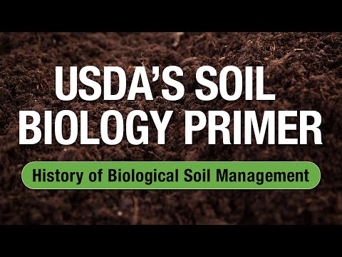 2 Minute Turf Talk - Soil Biology Primer